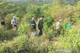 Tim konservasi BKSDA pantau keberadaan harimau di Bener Meriah