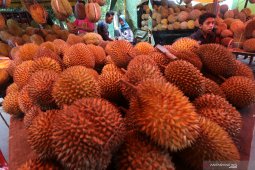 Pasar durian musiman