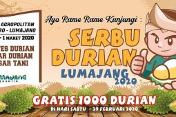 "Serbu Durian" Lumajang promosikan produk unggulan durian kembang