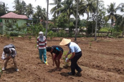 Lapas Rangkasbitung berdayakan Napi kelola usaha pertanian
