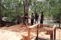 DKP Bangka Barat dukung pembangunan wisata mangrove terpadu di Tanjungpunai