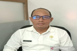 Produk kayu menyumbang ekspor terbesar di Banjarmasin