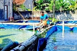 Kelompok budi daya ikan Sampang terima bantuan Rp1,9 miliar