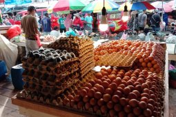 Harga telur ayam ras di pasar tradisional Ambon naik