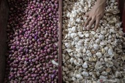 Imported garlic to enter domestic markets this month: minister