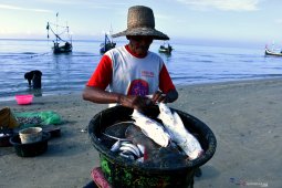 Nelayan Pamekasan mulai melaut
