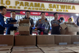 Polisi bongkar industri pengolahan ikan asin berformalin di Pasuruan