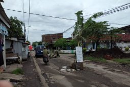 Warga Sidoarjo  tanam pisang di jalan rusak