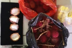 Polisi ungkap pengiriman sabu gunakan rambutan ke LP Mempawah