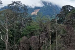 Bukit Momuluk Sintang longsor