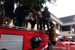 Seorang petugas kebersihan tersengat listrik saat ambil mangga