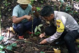 Pemda, TNI dan Polri di Dompu tanam pohon di sekitar mata air