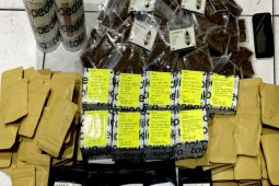 Polda Kalbar terus mendalami pemasok tembakau "gorila"