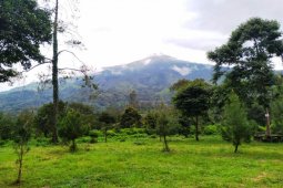 Hijaukan bukit Krapyak Mojokerto, sahabat SuperAdventure gandeng Semanggi Alas