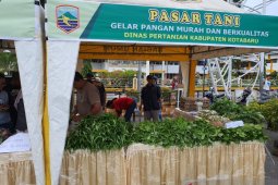 Dinas pertanian Kotabaru gelar Pasar Tani