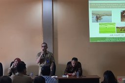 Asuransi Jasindo sosialisasi asuransi padi dan ternak di Jambi
