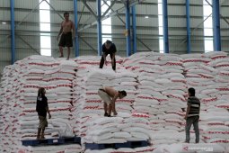Harga gula pasir mulai naik
