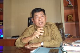 1.753 ekor babi di Kabupaten Kupang mati akibat  virus ASF