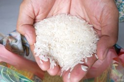 Bulog Kalbar pastikan ketersediaan beras cukup hingga Lebaran mendatang
