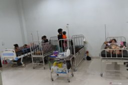 Di NTT, 37 orang meninggal akibat demam berdarah