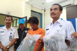 BNNP Bali tangkap kurir ganja jaringan Medan-Bali