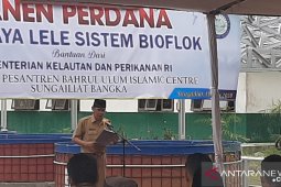 Produksi udang vanname di Bangka capai 1.123 ton.