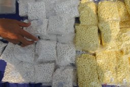 Tangkapan 7 Juta Pil Koplo