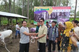 Kementerian LHK luncurkan program Silvopastura di KHDTK Aek Nauli