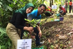 Coca-Cola Amatil Indonesia-Pemkab Badung tanam pohon di Desa Werdi Bhuwana