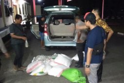Polda Malut amankan ratusan liter miras jenis cap tikus