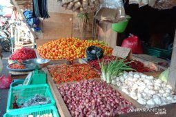 Harga cabai merah di pasar tradisional Ambon anjlok