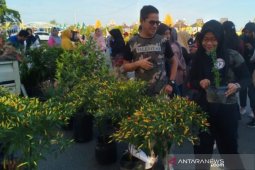 Pasar tani Kotabaru mendorong ekonomi daerah
