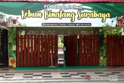 Kebun Binatang Surabaya tutup hingga 29 Maret