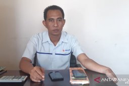 Stok beras di Tanah Bumbu cukup hingga lebaran 2020