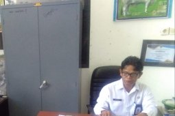 Tanah Bumbu has sufficient beef stock until Eid al-Adha