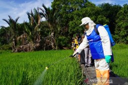 Tani Milenial - Gerakan Pengendalian Organisme Pengganggu Tanaman Padi