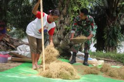 Prajurit TMMD bantu seorang ibu giling padi