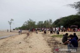 Warga Belolaut tanam 2.500 bibit mangrove