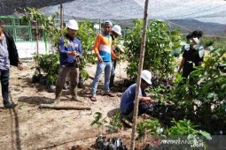Kebun Raya Sipirok Tapsel dapat  hibah ratusan jenis tumbuhan dari LIPI
