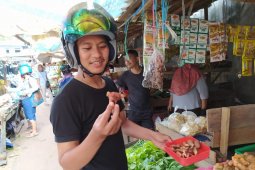 Harga bahan pokok di Kayong Utara terus naik