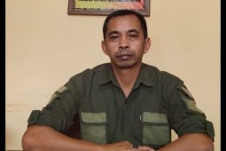 Dua tahapan Pilkada 2020 di Bengkayang ditunda