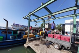Nelayan di Belitung kelimpungan akibat harga ikan anjlok