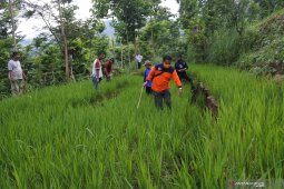Lahan pertanian retak