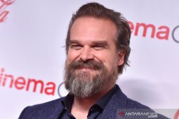 David Harbour dituding melakukan perundungan terhadap Millie Bobby