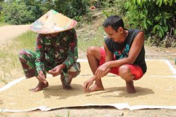 Satgas TMMD bantu warga jemur padi