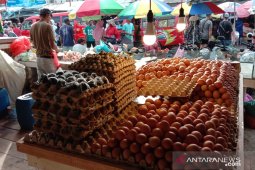 Harga telur ayam ras di pasar Ambon naik