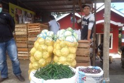Petani sayuran di Rejang Lebong keluhkan rendahnya harga jual