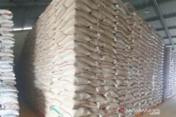 Bulog Bangka pastikan stok beras cukup hingga empat bulan