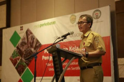 Dinas Perkebunan Kaltim bahas harga TBS melalui teleconference