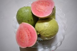 Jambu biji, kulit jeruk dan daun kelor diduga kuat mampu atasi  COVID-19